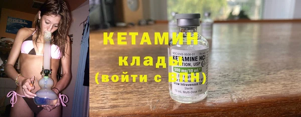 индика Дмитриев