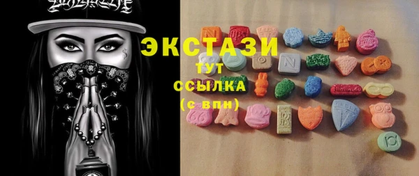 индика Дмитриев