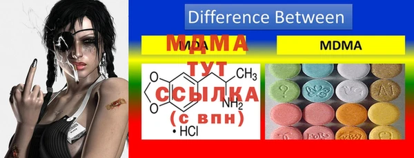 индика Дмитриев