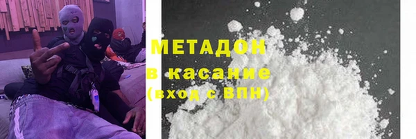 индика Дмитриев