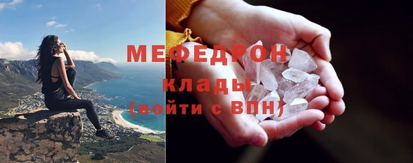 индика Дмитриев