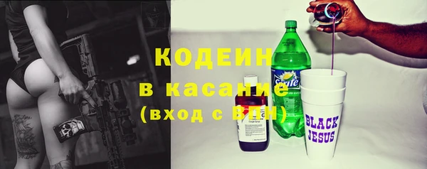 индика Дмитриев