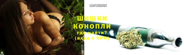индика Дмитриев