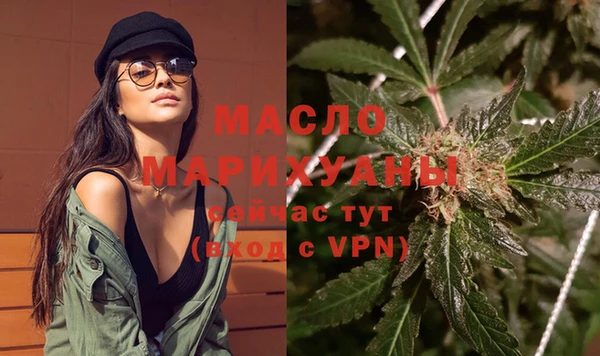 индика Дмитриев