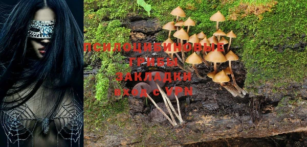 индика Дмитриев