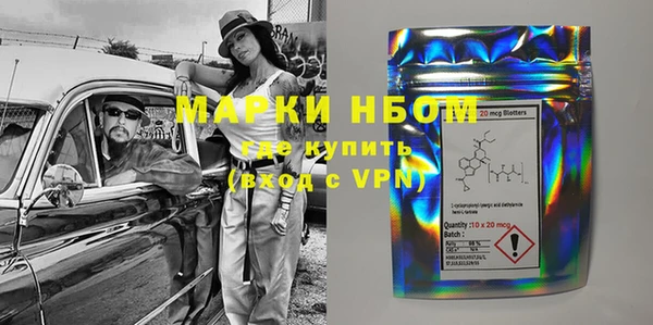 индика Дмитриев