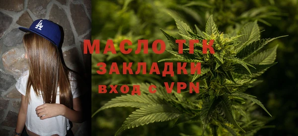 индика Дмитриев