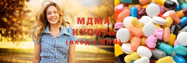 индика Дмитриев