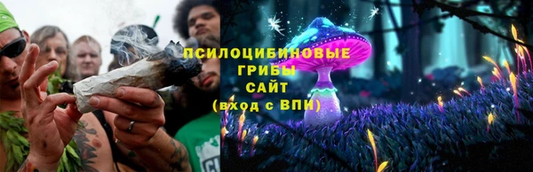 не бодяженный Дмитров