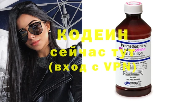 индика Дмитриев