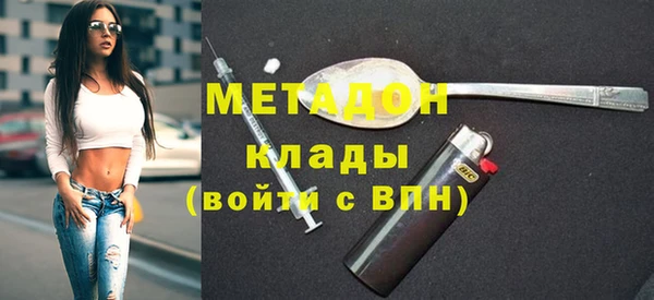 индика Дмитриев